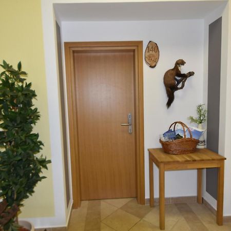 Apartments And Rooms Kod Eli ราฟนาโกรา ภายนอก รูปภาพ